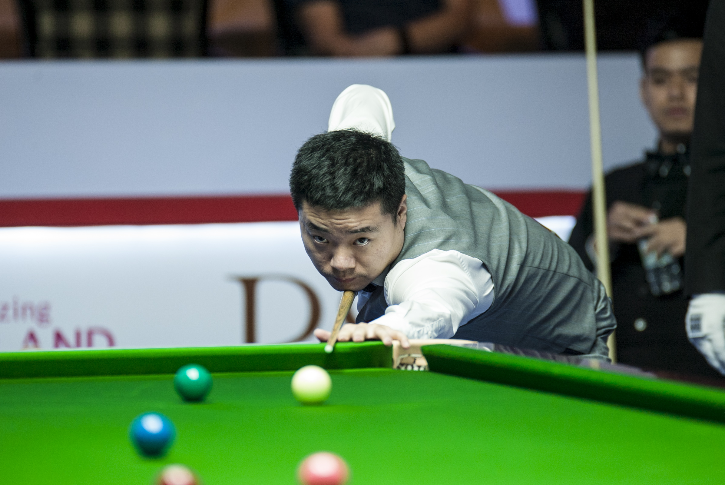 则官方公告 则官方公告